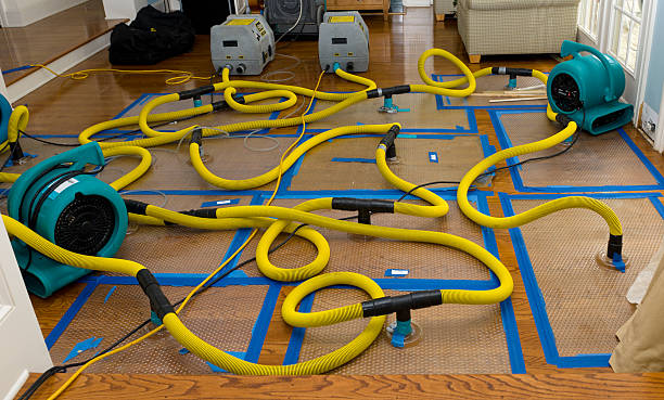 Professional Crawl Space Water Removal technician working in Babylon, NY
